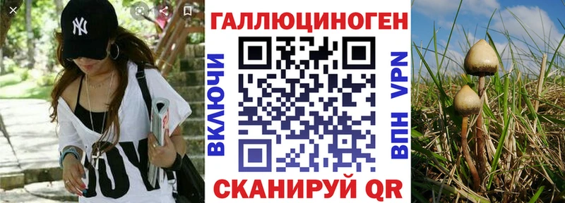 Псилоцибиновые грибы ЛСД  Протвино 