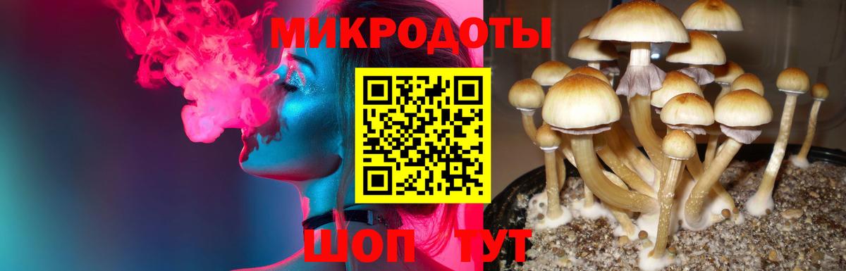 что такое наркотик  Вход с VPN  Протвино  Псилоцибиновые грибы мицелий 